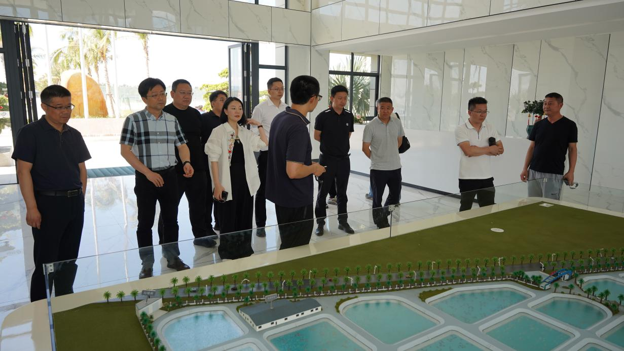 政企攜手探路水產(chǎn)科技——鏈接海南晨海共繪產(chǎn)業(yè)新篇